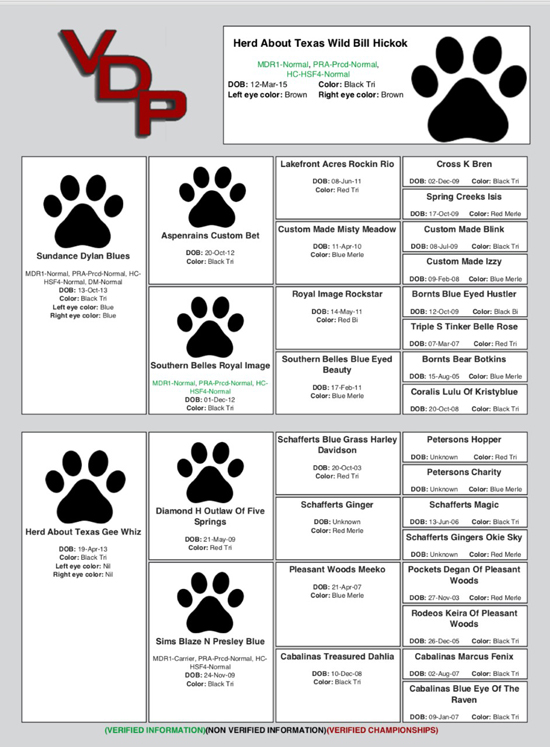Carousel Aussies Herd About Texas Wild Bill Hickok Pedigree Carousel Aussies Herd About Texas Wild Bill Hickok Pedigree